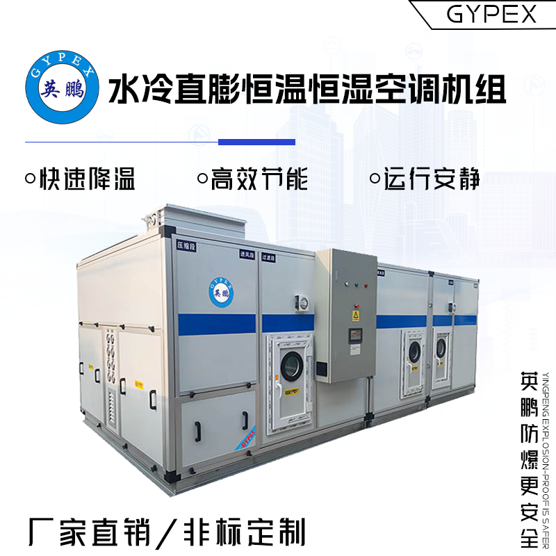 GYPEX YO-60英鹏仓库用水冷直膨恒温恒湿空调机组