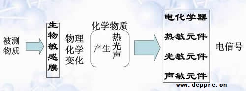 指纹识别传感器主导全球生物识别硬件市场