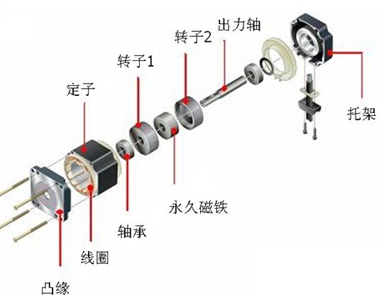 5相步进电动机构造