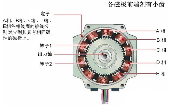 定子结构